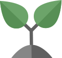 ECO-FRIENDLY COMPANY